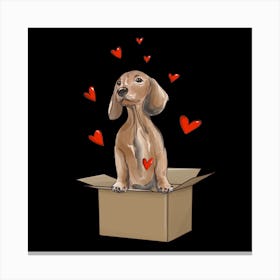 Dachshund In A Box animals love Canvas Print