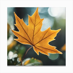Autumn Leaf 16 Canvas Print