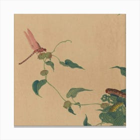 Dragonfly On A Leaf Canvas Print