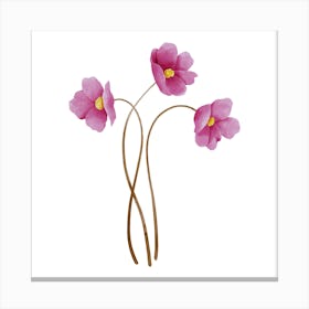 Three Pink Flowers Canvas Print