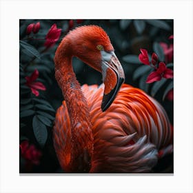 Flamingo 44 Canvas Print