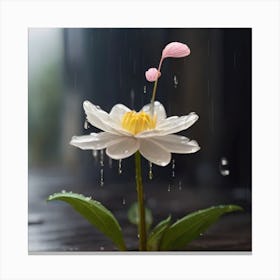 Lotus Flower In The Rain 2 Canvas Print