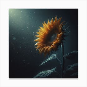 Sunflower In The Dark Canvas Print