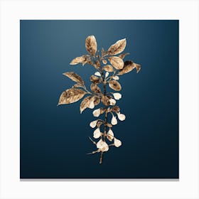 Gold Botanical Mountain Silverbell on Dusk Blue n.0403 Canvas Print