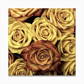 Flowers Roses Plant Bloom Blossom Canvas Print