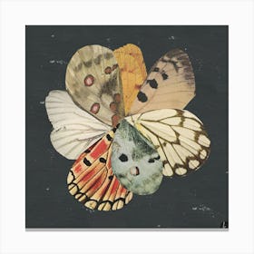 Butterfly Wing Flower Collage Canvas Print