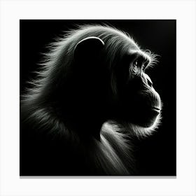 Portrait Of A Chimpanzee Canvas Print