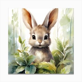 Rabbit In The Woods Canvas Print