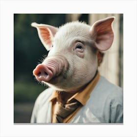 Portrait Of A Pig Canvas Print