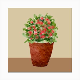 Potted Plant Canvas Print