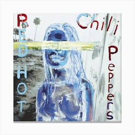 Rhcp Album Cover 7 Canvas Print