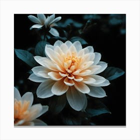 Dahlia 3 Canvas Print