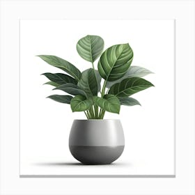 Digital Painting Potted Plant Plant Leaves Green Plant Nature Pot Canvas Print