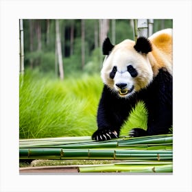 Panda Bear 10 Canvas Print