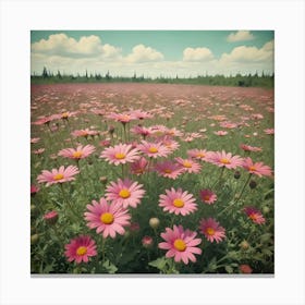 Colorful Daisies In A Foggy Field At Sunrise Canvas Print