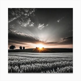 Sunset Over A Wheat Field 15 Canvas Print