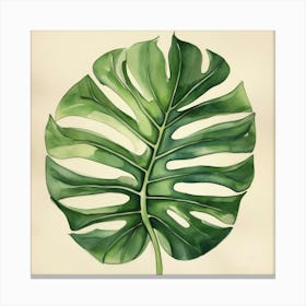 Monstera leaf 3 Canvas Print