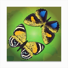 A Couple Of Mechanical Callicore Aegina Butterflies On A Green Background Canvas Print