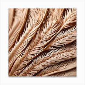 Feathers 4 Canvas Print