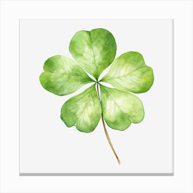 Four Leaf Clover 2 Canvas Print