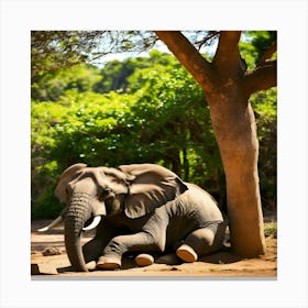 Elephant Resting Under A Tree Canvas Print