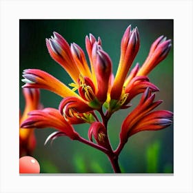 Cactus Flower Canvas Print