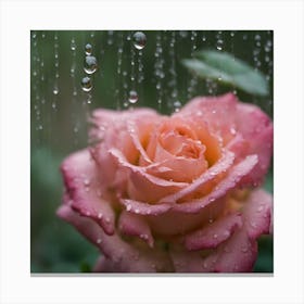 Raindrops On A Rose Canvas Print