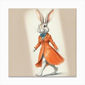 Rabbit In Orange Coat Canvas Print