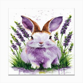 Lavender Bunny Canvas Print