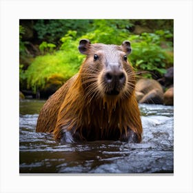 Beaver In The River Canvas Print