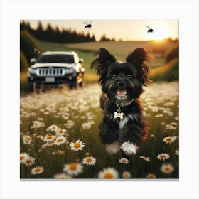 Daisy 2 Canvas Print