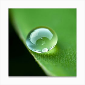 Water Drop On Leaf Stampe su tela