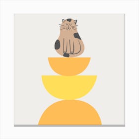 Cat Sitting On A Stack Of Oranges Canvas Print