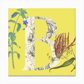 Botanical B Canvas Print