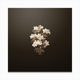 Gold Botanical Thick Flowered Slender Tube on Chocolate Brown n.4055 Canvas Print