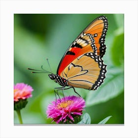 Butterfly On A Flower 7 Canvas Print