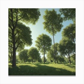 Forest Canvas Print