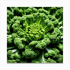 Close Up Of Broccoli 23 Canvas Print