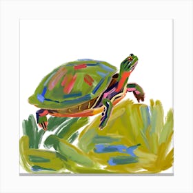Painted Turtle 01 Canvas Print