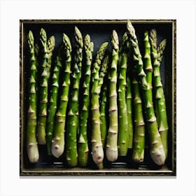 Frame Created From Asparagus On Edges And Nothing In Middle Haze Ultra Detailed Film Photography (6) Canvas Print