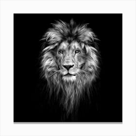 Lion Portrait Canvas Print