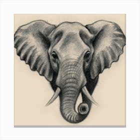 Elephant Head Canvas Print