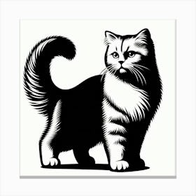 British Shorthair Cat Canvas Print