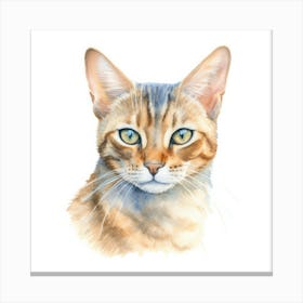 Thai Pointed Cat Portrait 2 Canvas Print