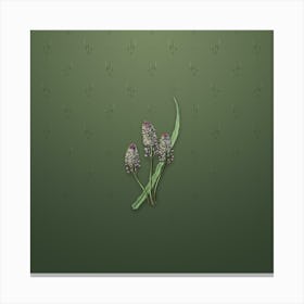 Vintage Meadow Squill Flower Botanical on Lunar Green Pattern n.2326 Canvas Print