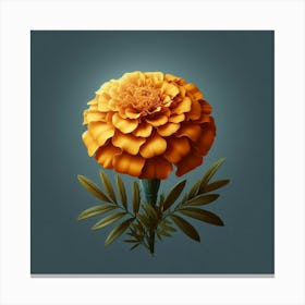 Carnation 1 Canvas Print