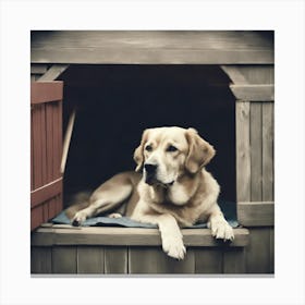 Dog in House Canvas Print