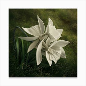 Daffodils Canvas Print