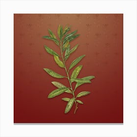 Vintage Rhodora Botanical on Falu Red Pattern n.2087 Canvas Print