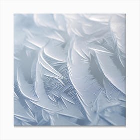 Frosty Feathers Canvas Print